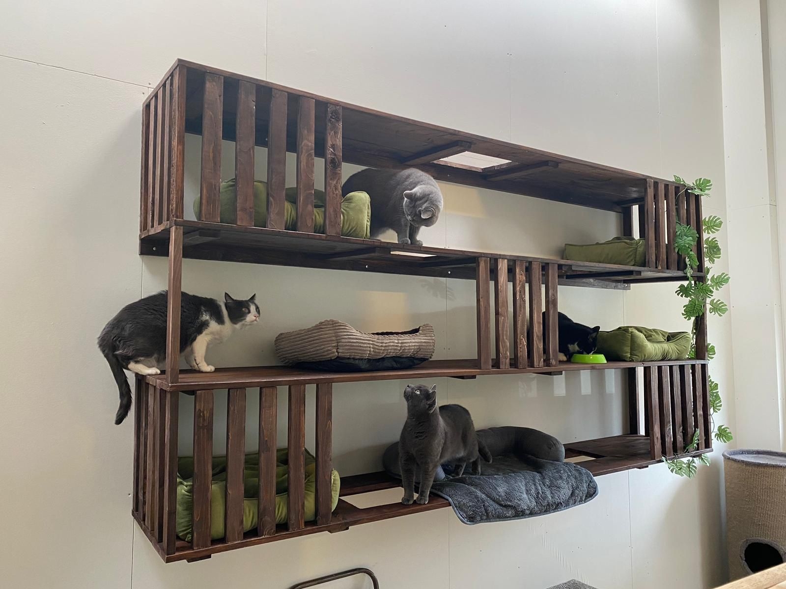 WhatsApp Image 2024-03-03 at 13.03.51.jpeg